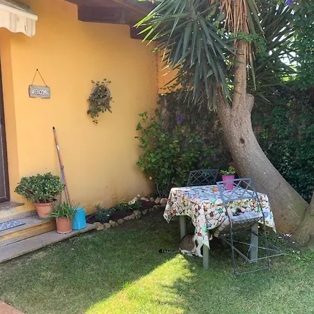 La Margherita * Riola Sardo