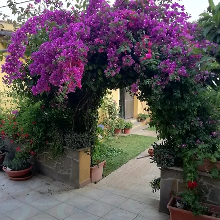 La Margherita