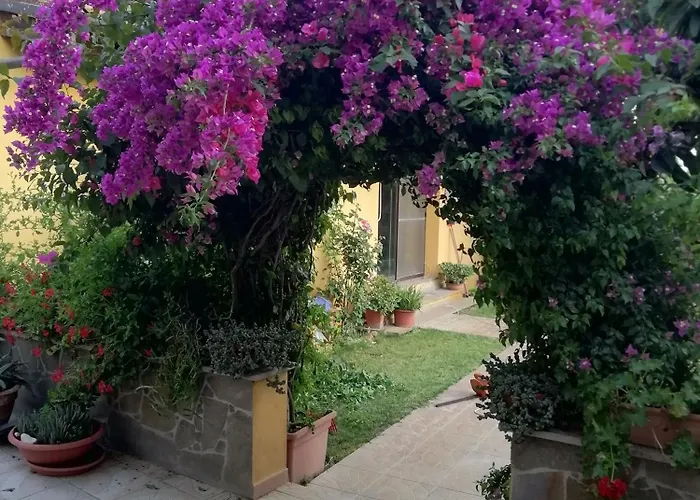 La Margherita
