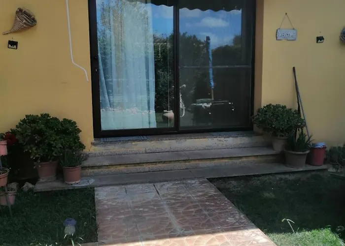 La Margherita *